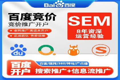某电商平台sem竞价运营的突破与挑战